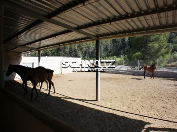 Bonita Finca en venta en Orba