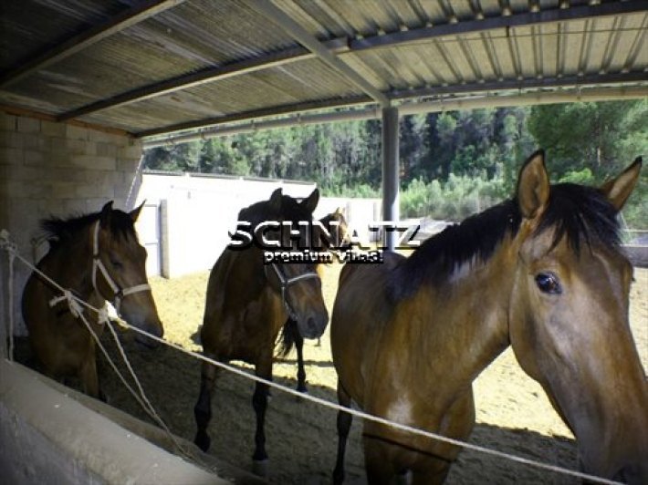 Bonita Finca en venta en Orba