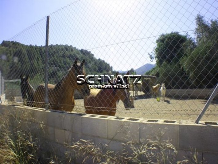 Bonita Finca en venta en Orba