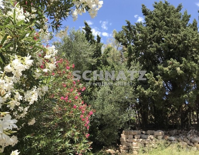 FINCA EN DENIA