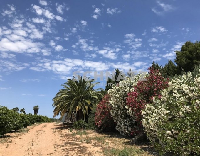 FINCA EN DENIA