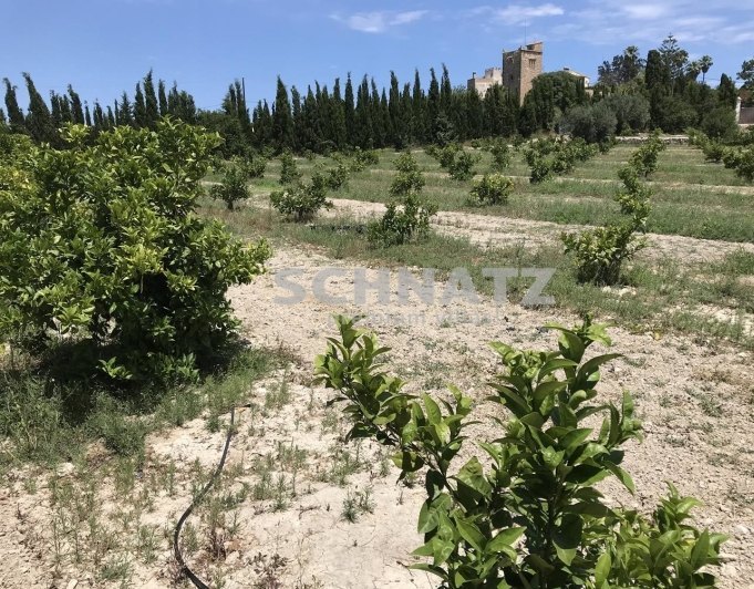 FINCA EN DENIA