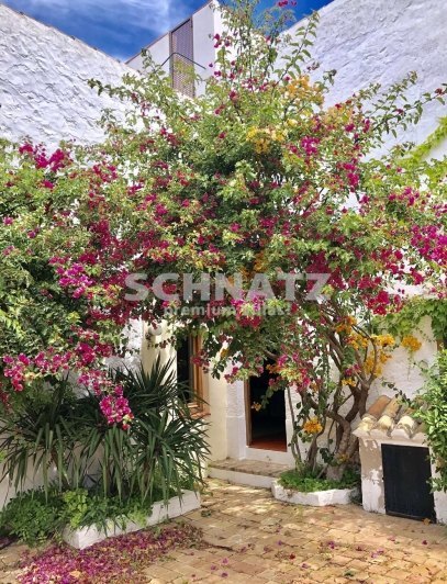 FINCA EN DENIA