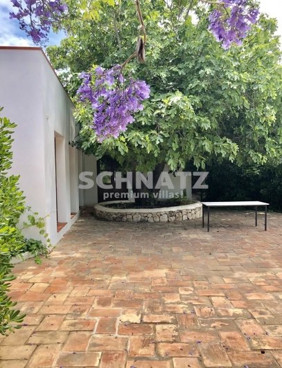 FINCA EN DENIA