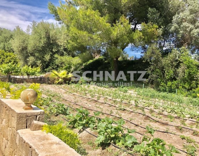 FINCA EN DENIA