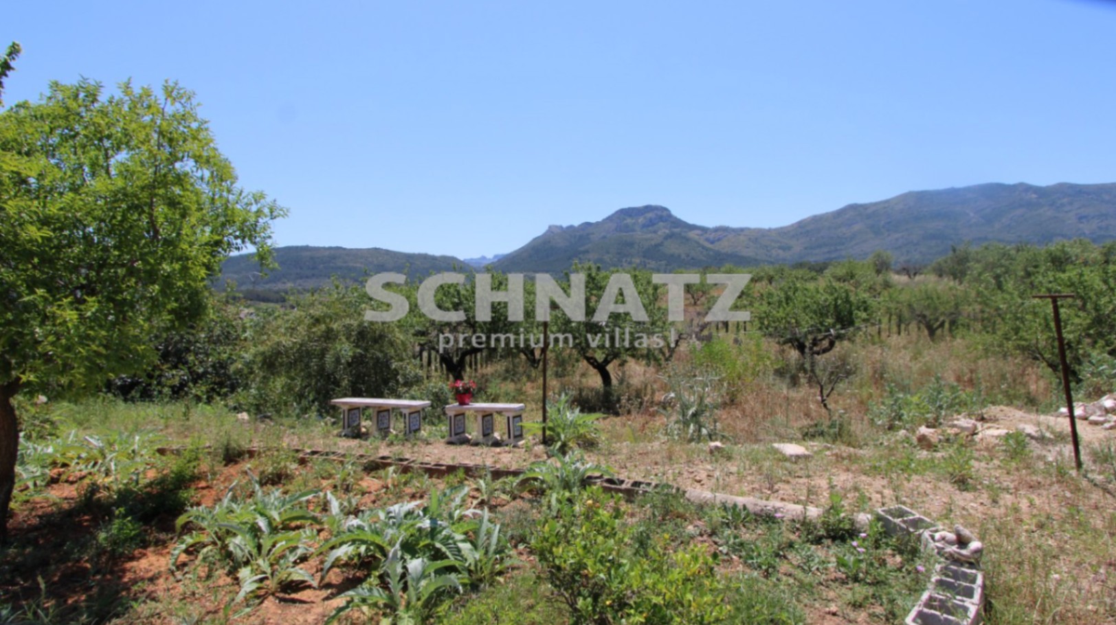 Finca con encanto en venta en Jalón