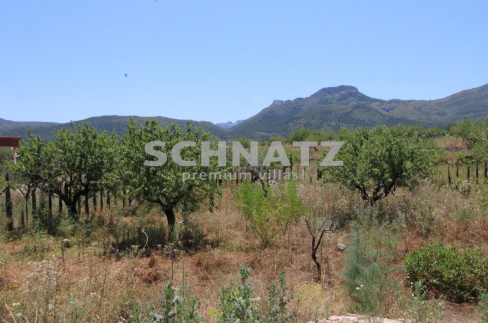 Finca con encanto en venta en Jalón