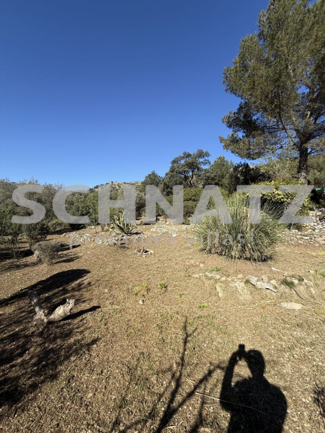 Elegante finca en orientación sur con piscina, placas solares y amplias vistas al valle