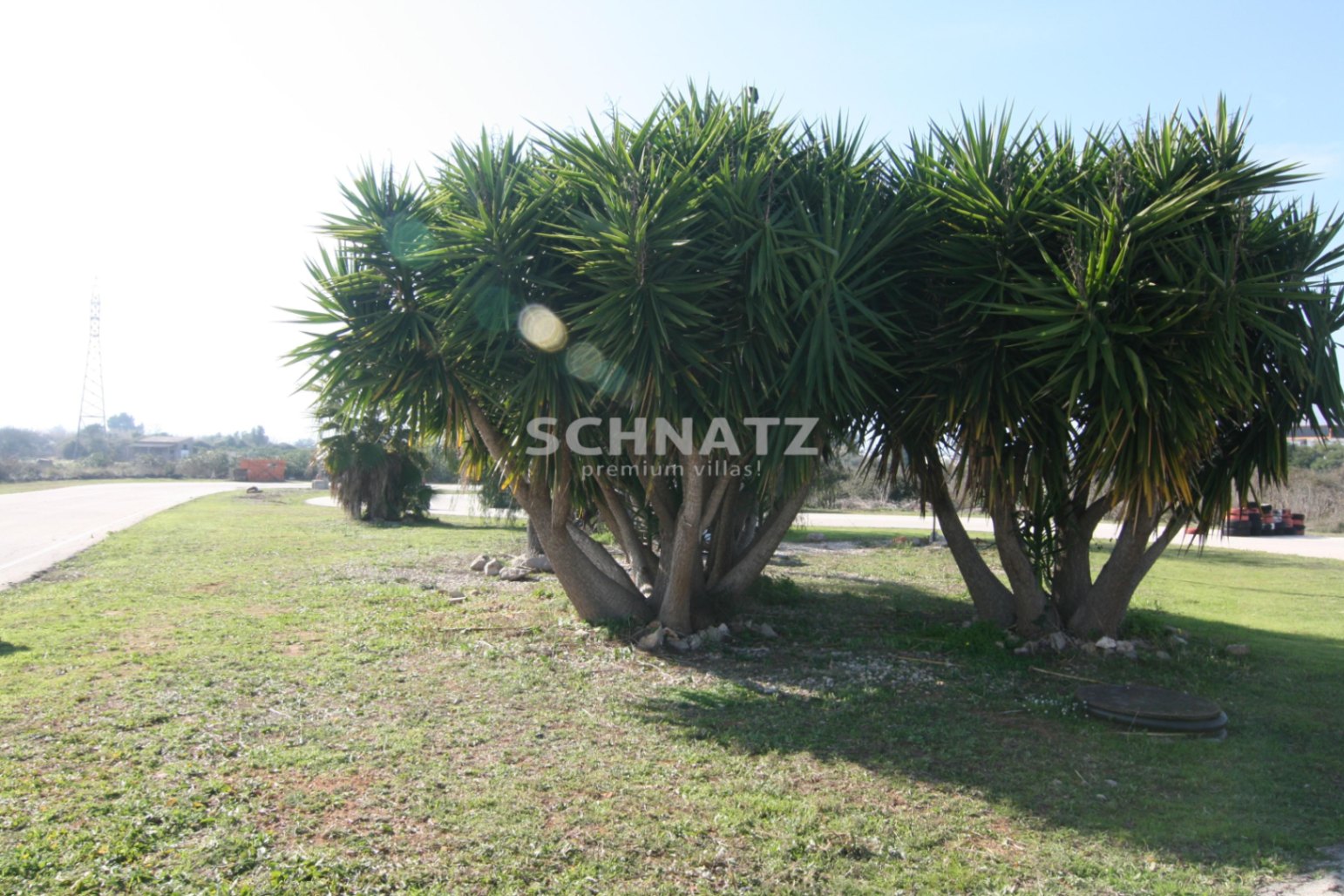 Finca con circuito privado cerca de Dénia
