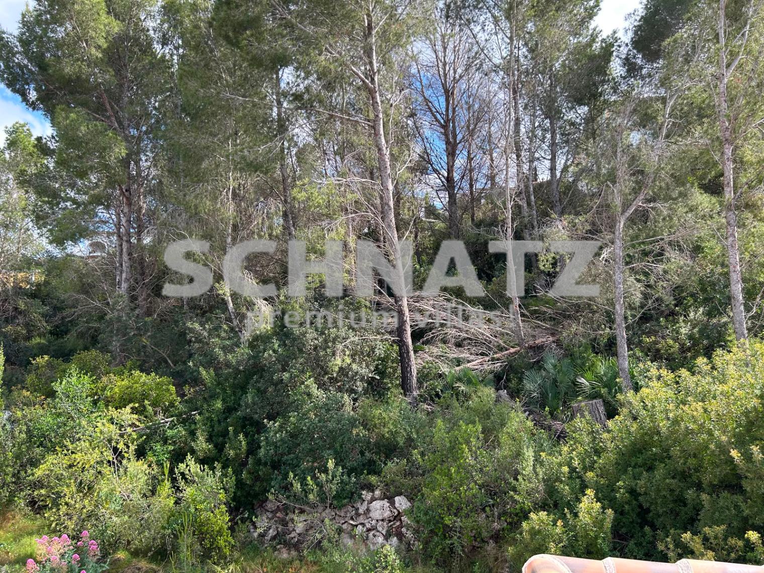 Villa mit Pool zu verkaufen in Pedreguer