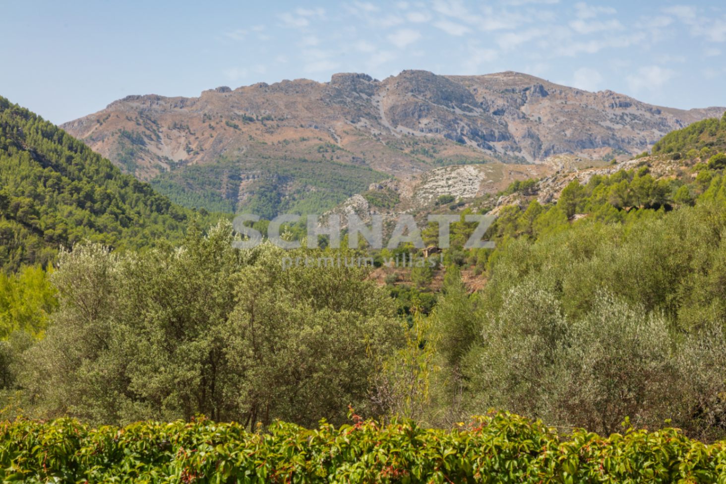 Mooie finca met zwembad te koop in Benigembla