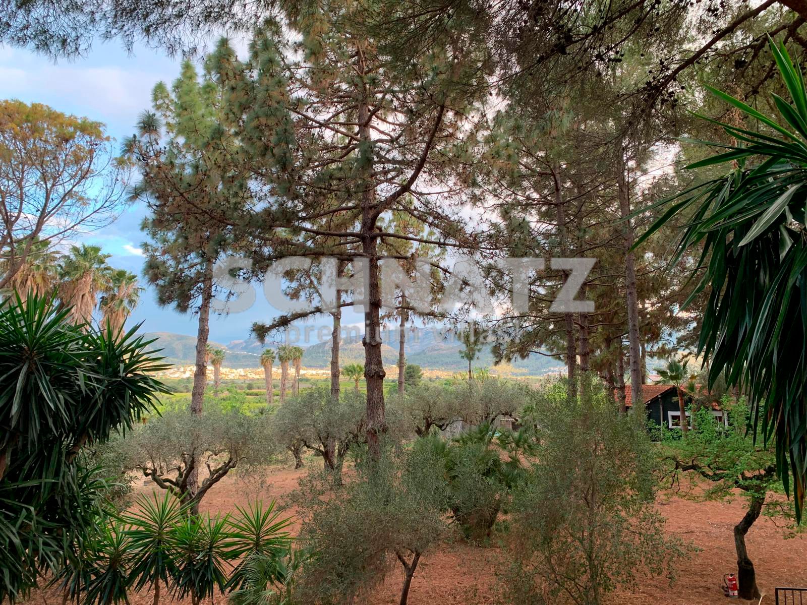 Villa te koop in de Vallei van Orba: een mediterrane paradijs