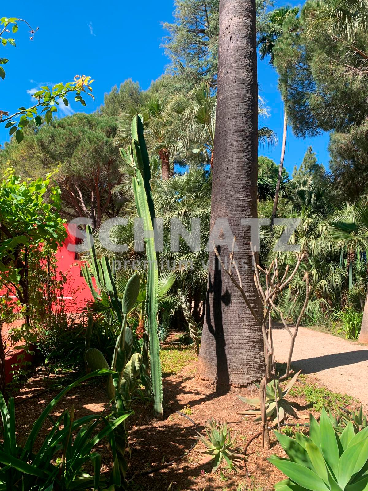 Villa te koop in de Vallei van Orba: een mediterrane paradijs