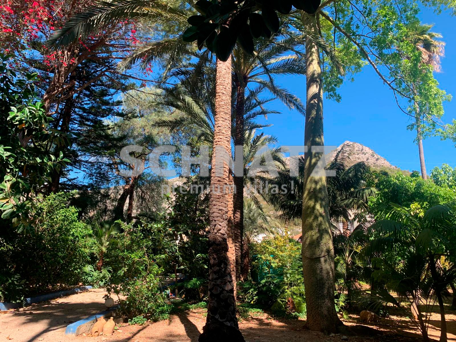 Villa te koop in de Vallei van Orba: een mediterrane paradijs