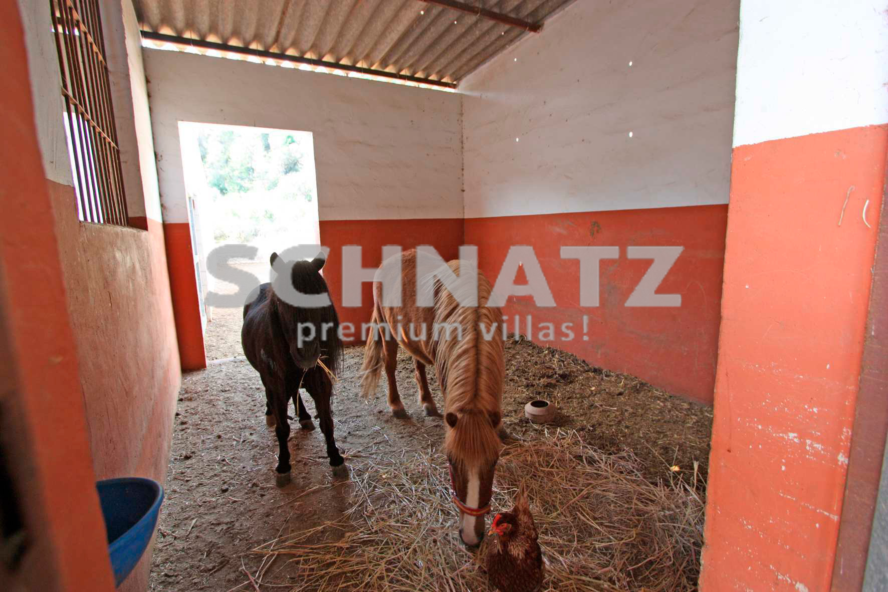 Casa de campo en venta para la cría de caballos en Orba