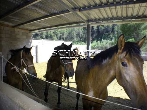 Belle finca à vendre à Orba