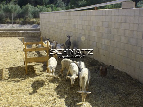Belle finca à vendre à Orba