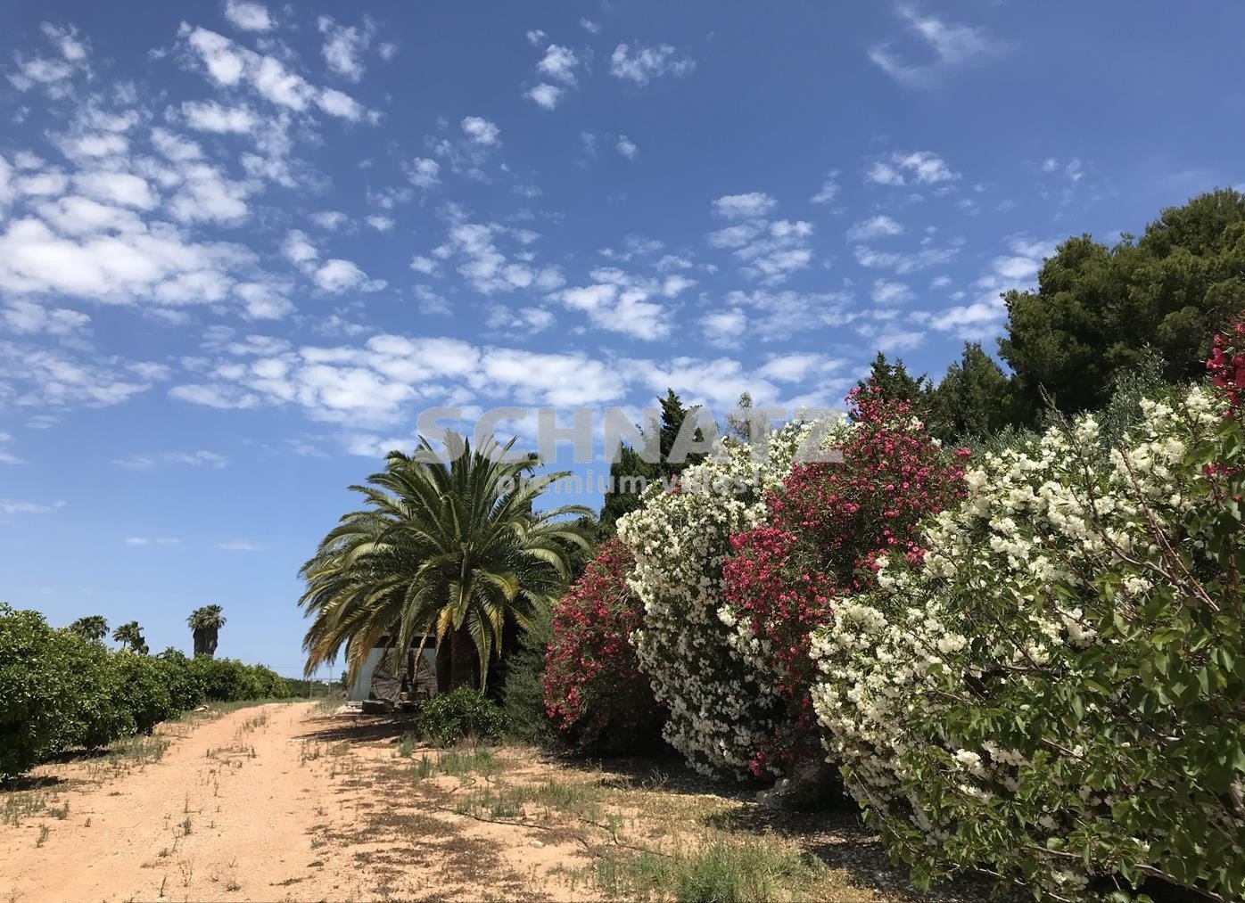 FINCA À DENIA