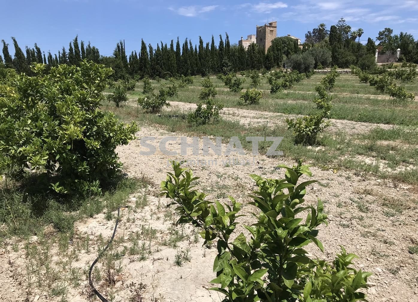 FINCA À DENIA