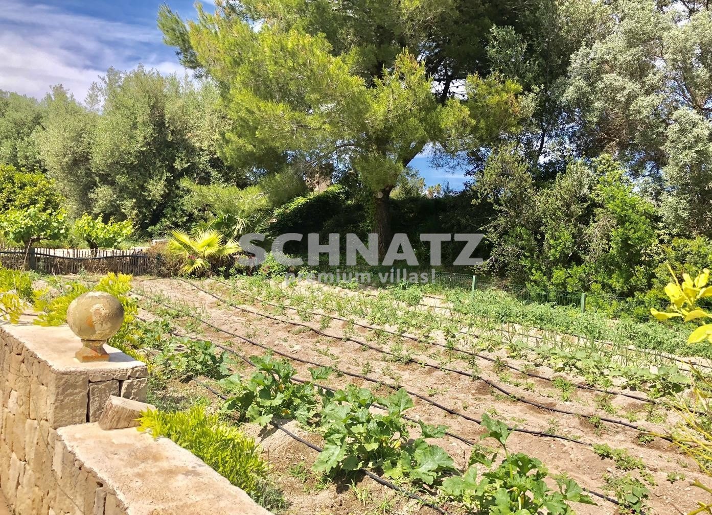 FINCA À DENIA